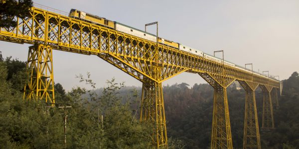 ¡Vuelve el Tren Temuco, lleno del ambiente dieciochero!