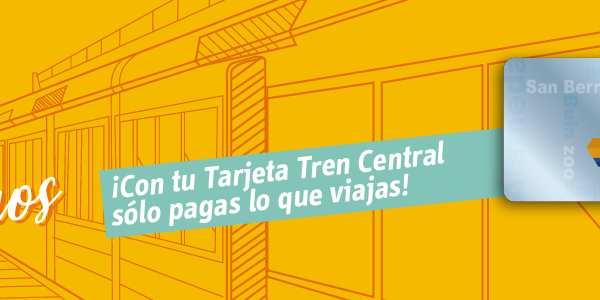 Tren Central habilitó nuevo servicio para conocer online saldo de tarjetas de usuarios de Metrotren Rancagua