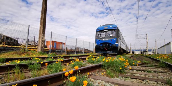 Tren Central sumará nuevas salidas diarias para servicio Alameda – Chillán.